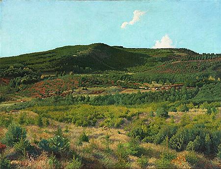 View of Svanninge Hills with spruces