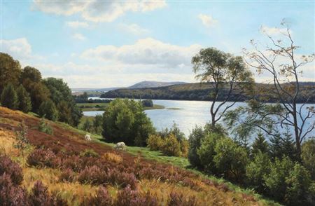 A Danish landscape scenery from Silkeborg lake district