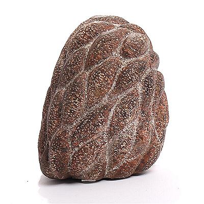 Organic shape