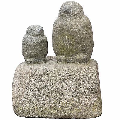 Penguins/birds