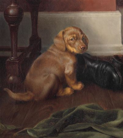 A puppy with a boot.