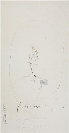 “An Outline Treatise of Medical Herbs II”.