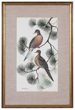 Dove, 1965