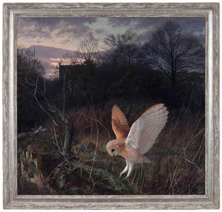 Barn Owl on a Winter Evening, 1982