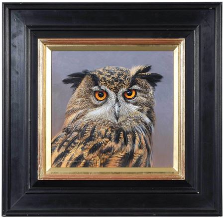 Eurasian Eagle Owl