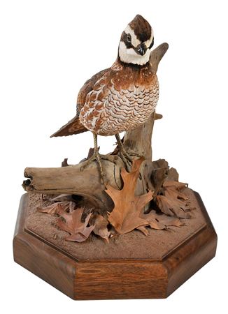 Northern Bobwhite, Male, 1986 by Ernie Muhlmatt - Auction record, sale price, and art valuation. Compare with similar artists and explore comparable artworks.