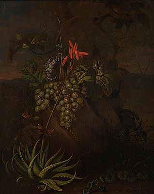 Still life with exotic plants, butterflies and grapes near a rock