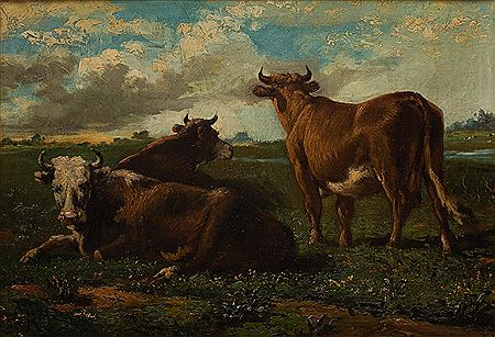 Cows in the field