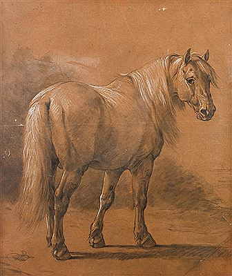 Horse