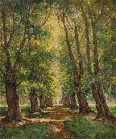 Summer's day at the tree-lined road