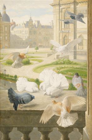 Pigeons at the Antwerp Royal Museum of Fine Arts' garden