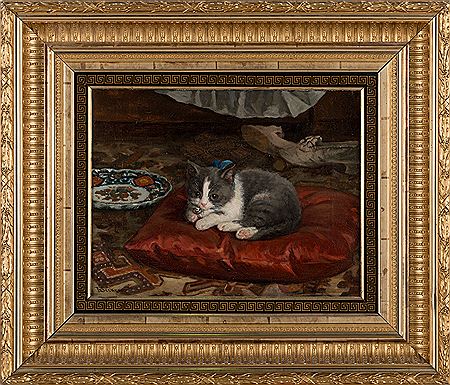 The cat on the pillow