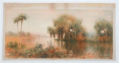 Tomoka River with Palms