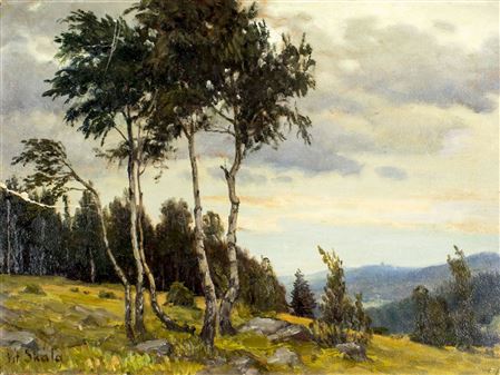 Landscape