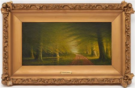 Forest Landscape