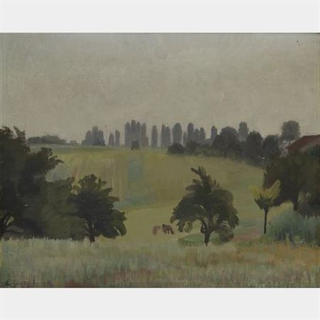 Paysage de campagne