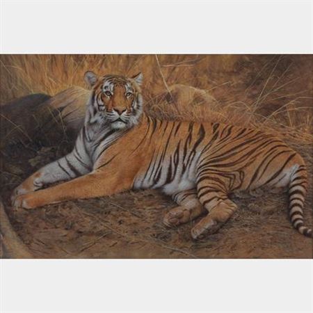 Tigre allongé by Trevor Boyer - Auction record, sale price, and art valuation. Compare with similar artists and explore comparable artworks.