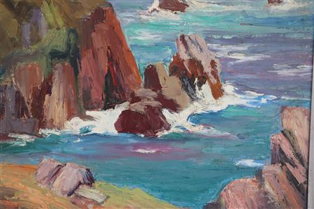 "Rocky coasts"