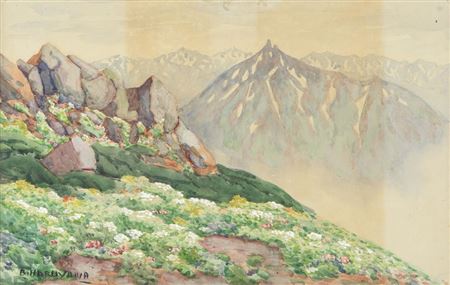 Alpine plants