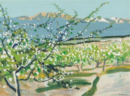 Apple field