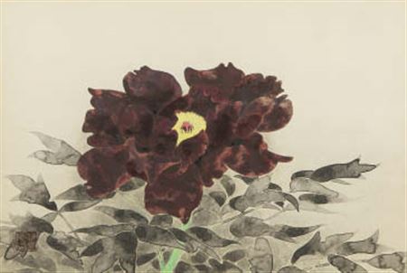 Peony
