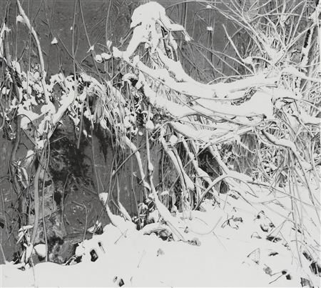 Auspicious Snow 21-05