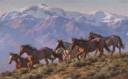 Wild Horse Ridge
