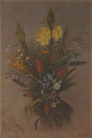 Wild Flowers of the Yosemite