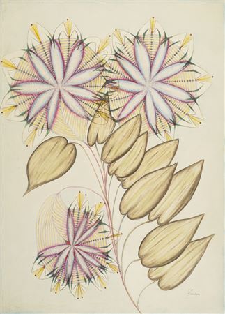 Untitled (Flowers)