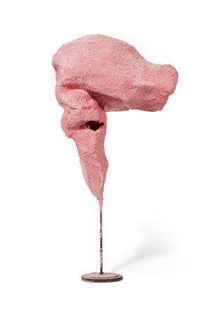 Untitled (Lemur Pink)