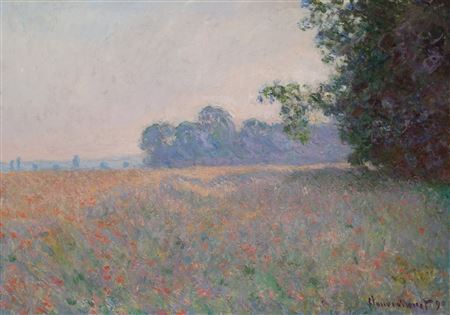 Champ d'avoine et de coquelicots