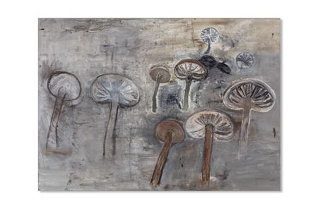Caps, Stems, Gills
