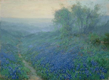 Field of Bluebonnets