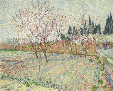 Verger avec cyprès (estimate on request)