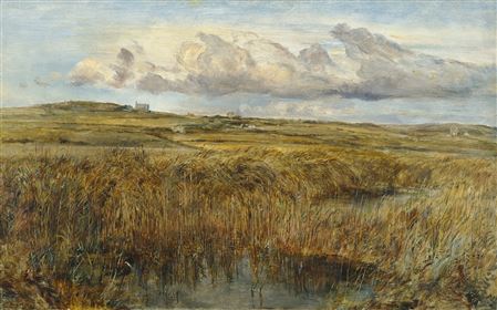 Rhoscolyn, Anglesey
