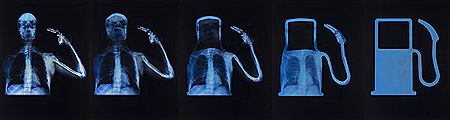 Evolution of Man , in five parts