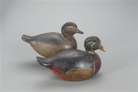 Early Wood Duck Pair