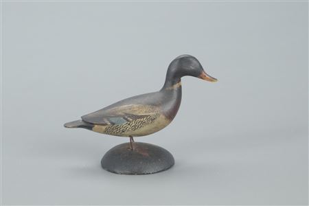Miniature Mallard Drake