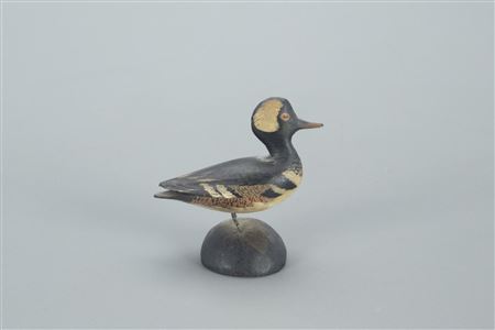 Miniature Hooded Merganser Drake
