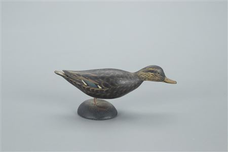 Miniature Black Duck