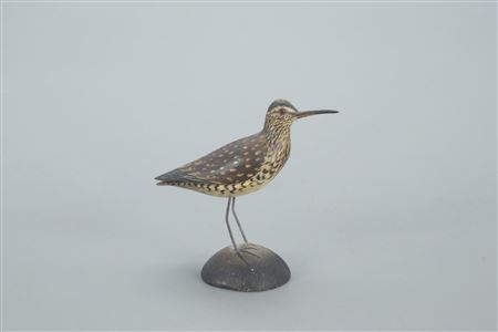 Early and Exceptional Miniature Curlew