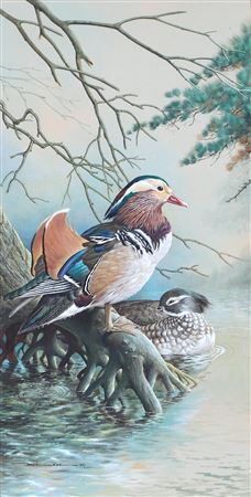 Mandarin Ducks