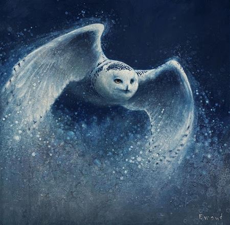 Snowy Owl