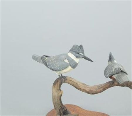 Rare Miniature Belted Kingfisher Pair