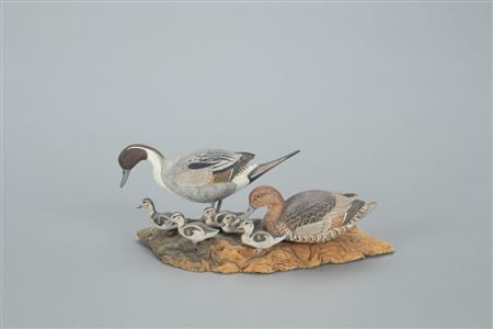 Miniature Pintail Pair with Ducklings