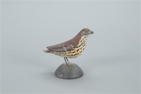 Miniature Brown Thrasher