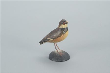 Miniature Semipalmated Plover