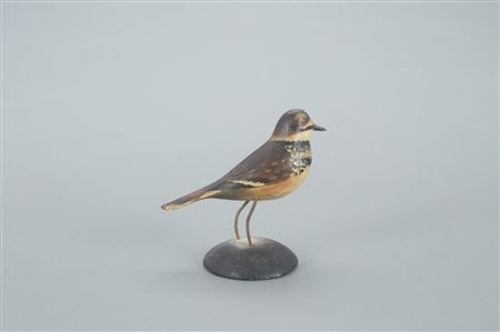 Miniature Killdeer