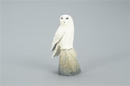Miniature Snowy Owl