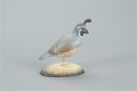 Miniature California Quail